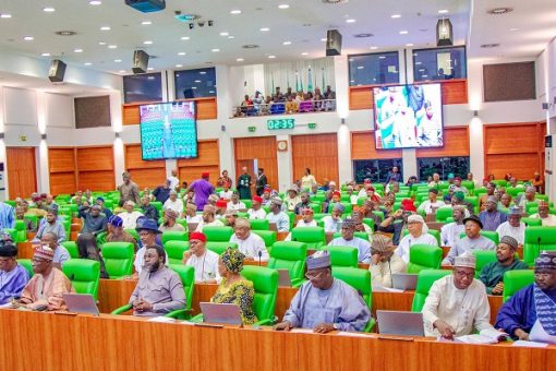 Proposals for creation of 31 states is not house resolution - Reps spokesperson clarifies